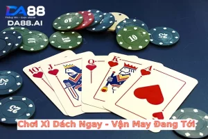 bai xi dach 4