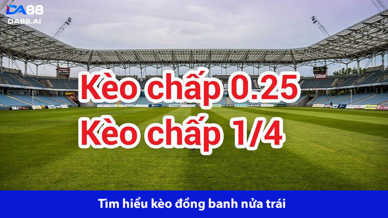 Kèo Châu Á Là Gì? Hướng Dẫn Cụ Thể Cách Đọc Kèo Bóng Đá 3 Cược đồng banh nửa trái khá phổ biến trong cá cược thể thao